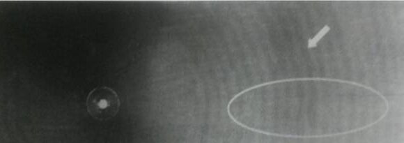 微信图片_20220914111050